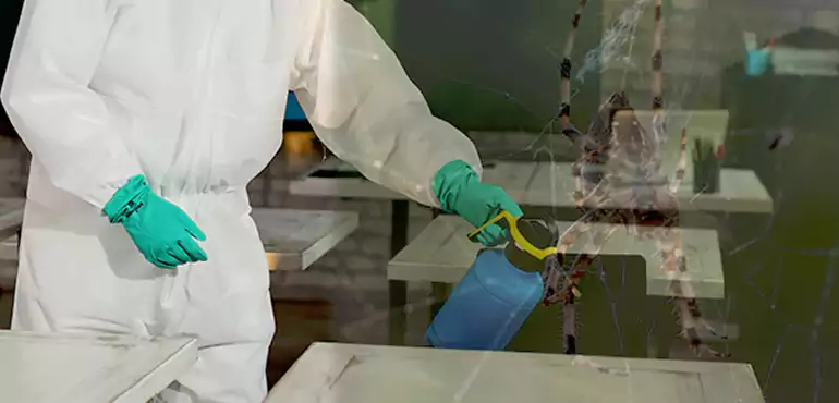 Why Buyers Still Want Homes With Pest Infestations in West Valley City, UT?
