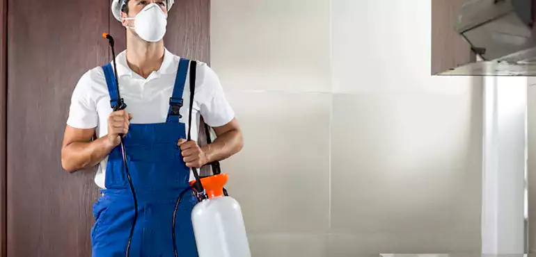 Why West Valley City Homeowners Choose Us When Pests Make Selling Difficult